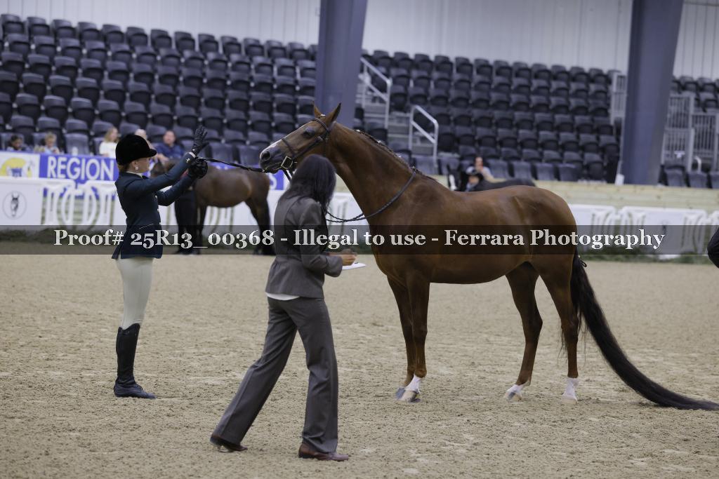 Proof 25R13_00368