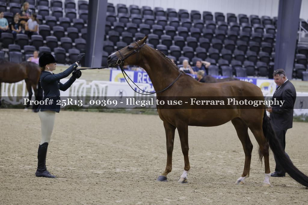 Proof 25R13_00369
