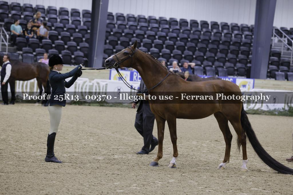Proof 25R13_00370