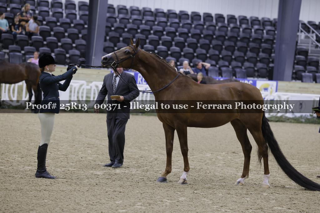 Proof 25R13_00371