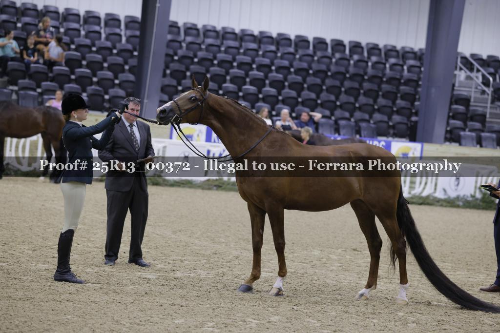 Proof 25R13_00372
