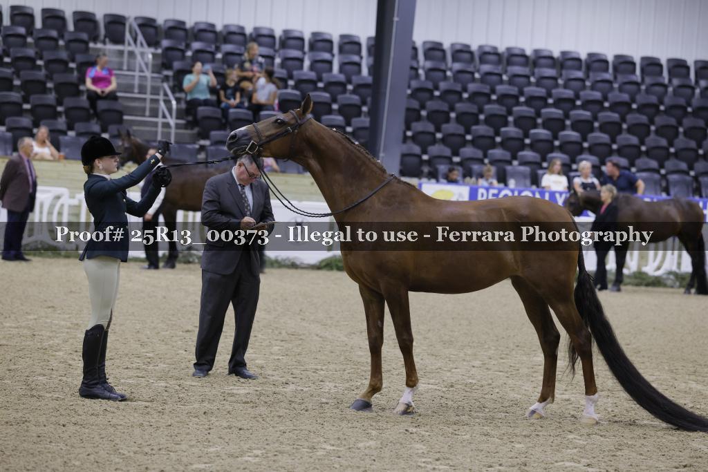 Proof 25R13_00373