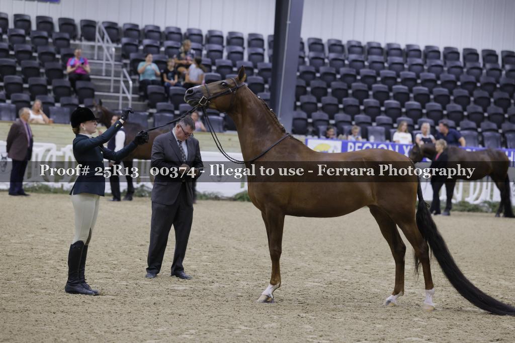 Proof 25R13_00374