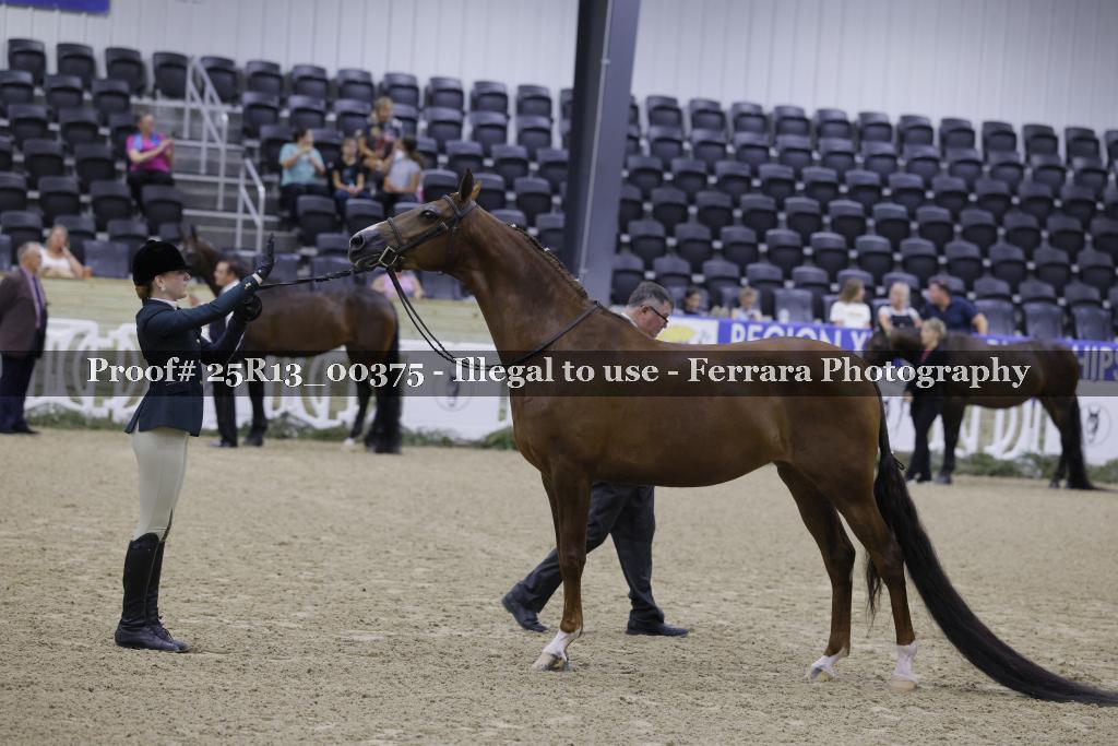 Proof 25R13_00375