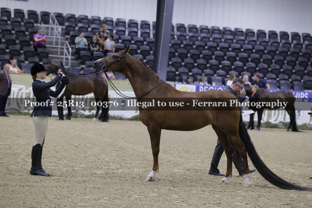 Proof 25R13_00376