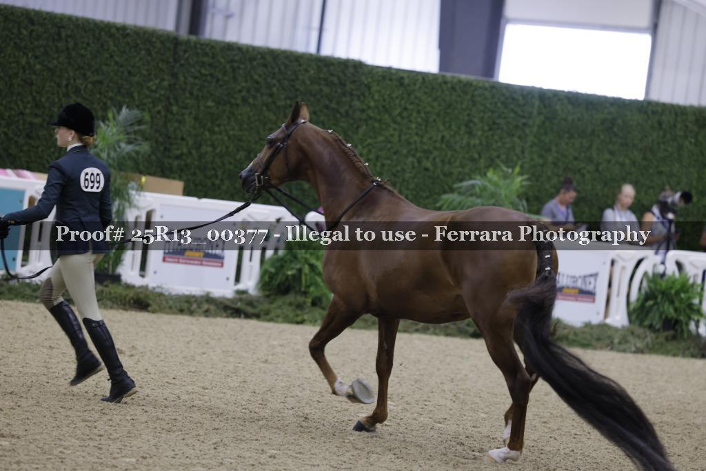 Proof 25R13_00377