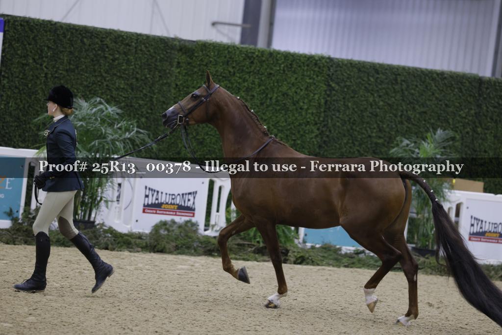 Proof 25R13_00378