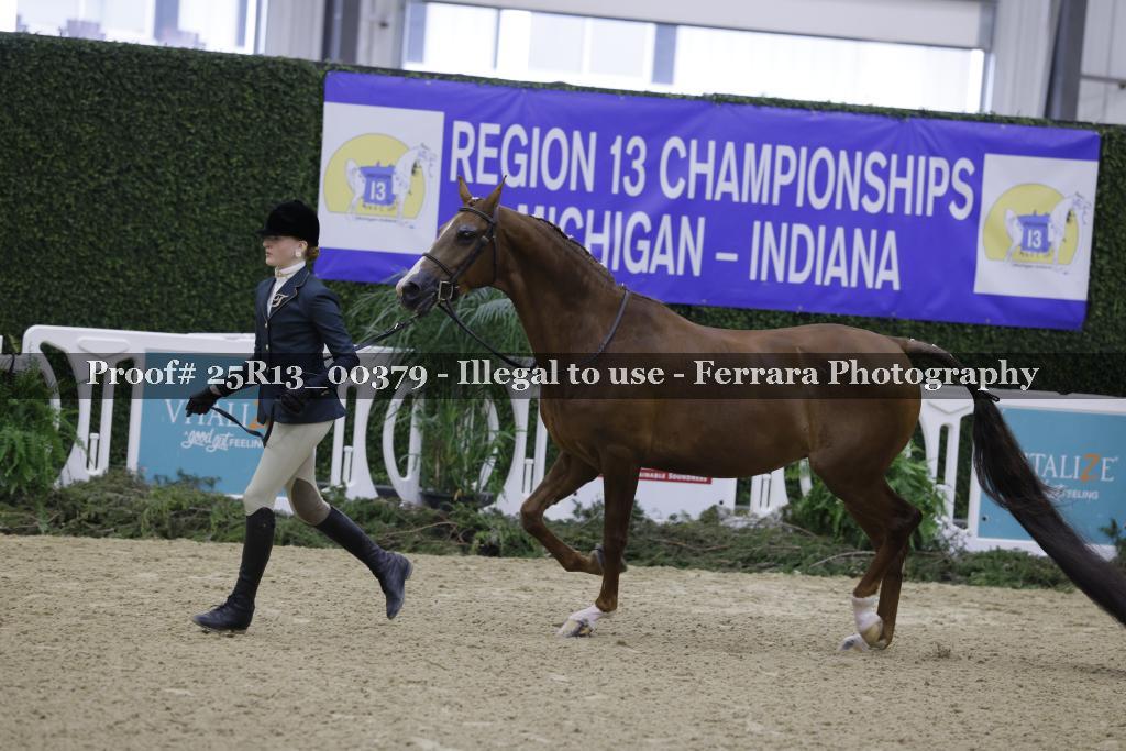 Proof 25R13_00379