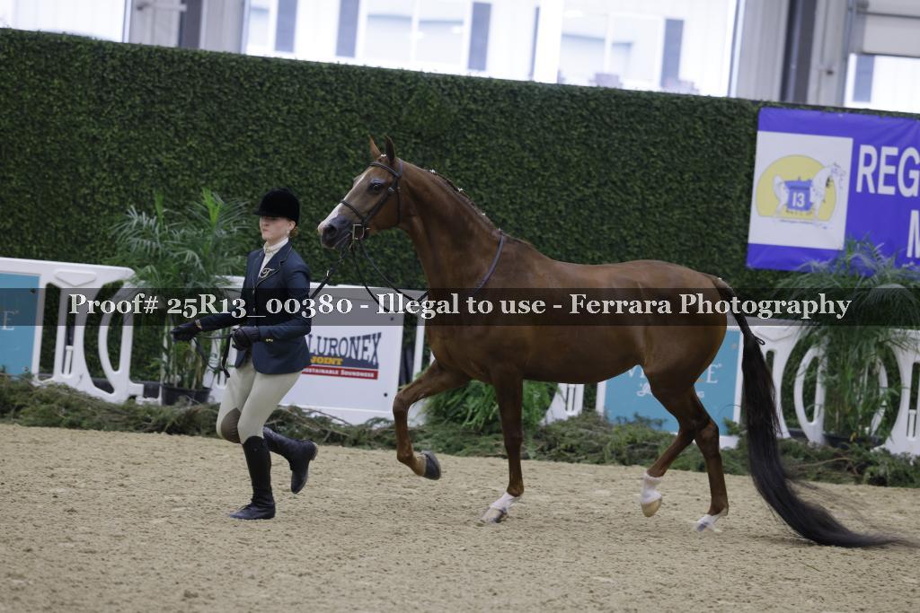 Proof 25R13_00380