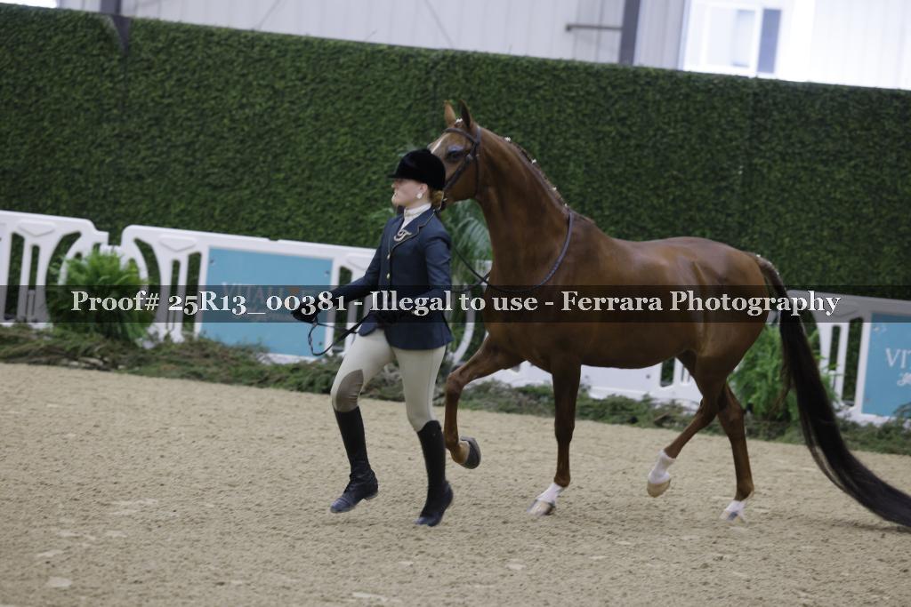 Proof 25R13_00381