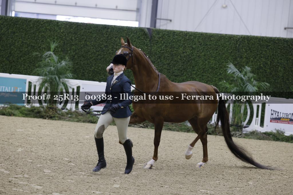 Proof 25R13_00382