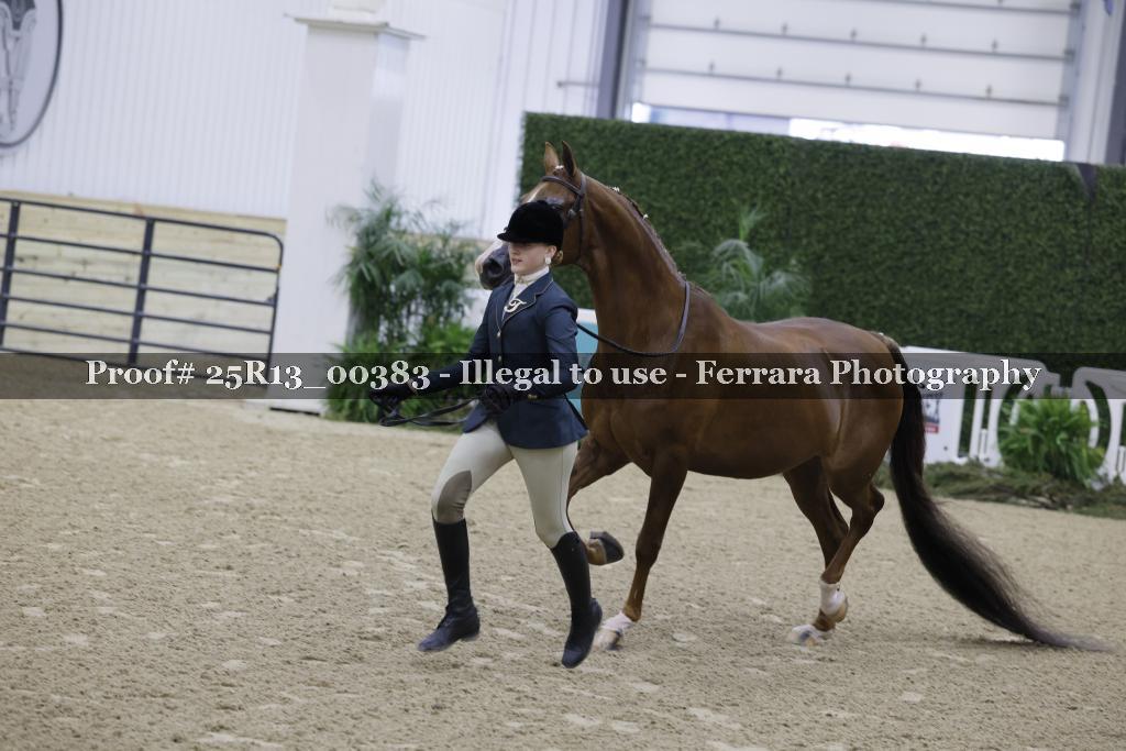 Proof 25R13_00383