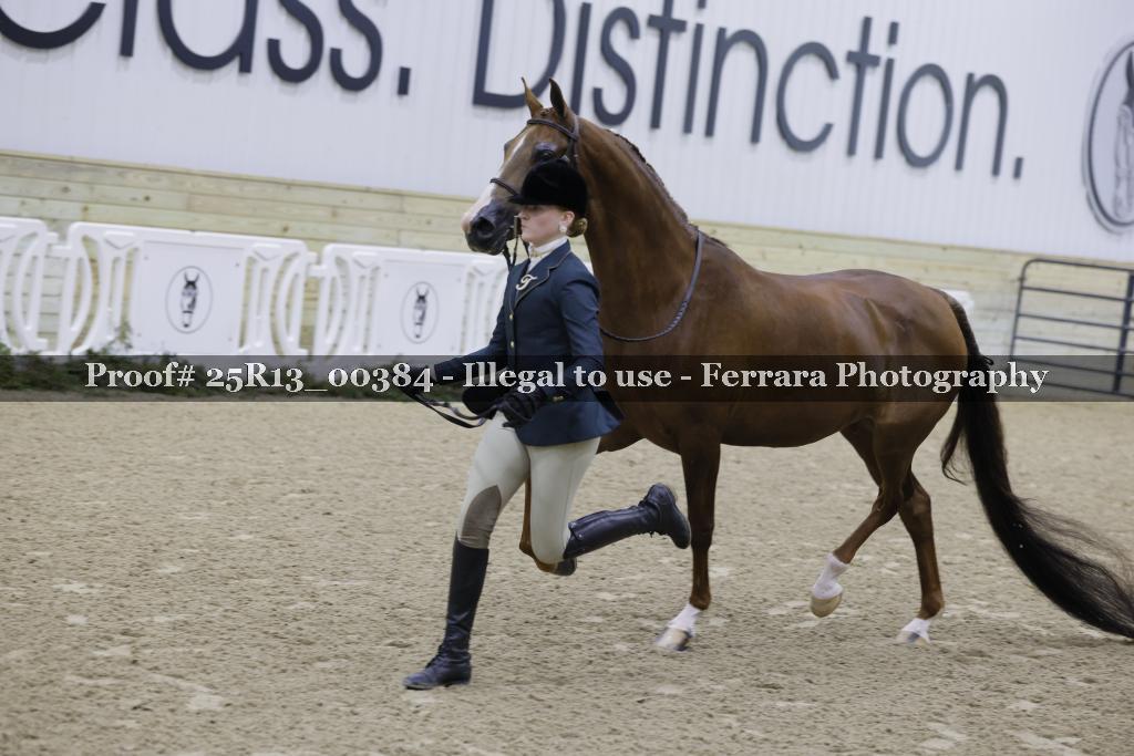 Proof 25R13_00384