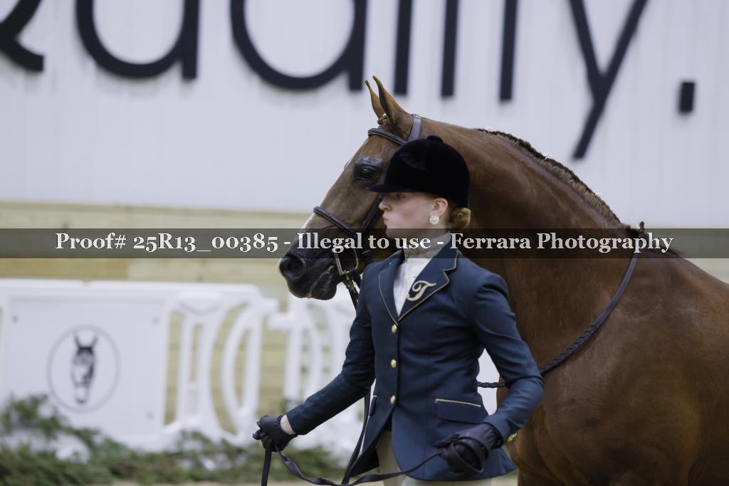 Proof 25R13_00385
