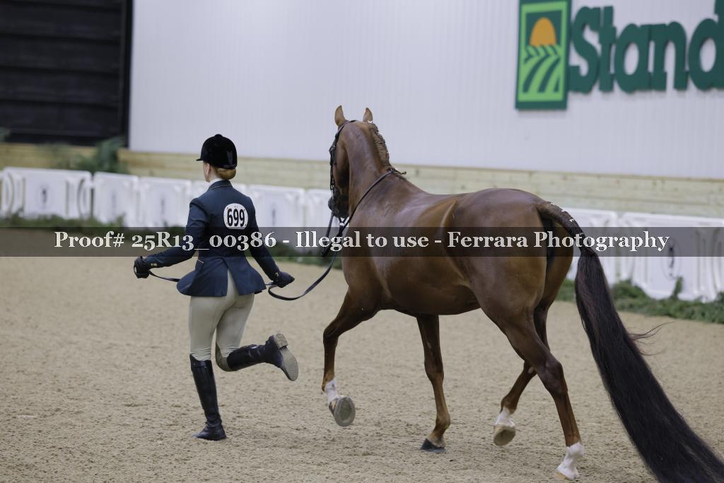 Proof 25R13_00386