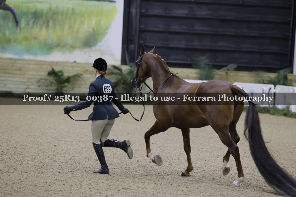 Proof 25R13_00387