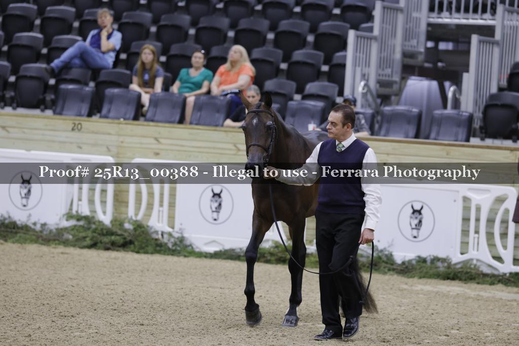 Proof 25R13_00388