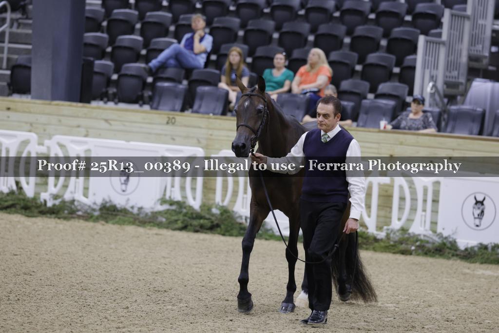 Proof 25R13_00389