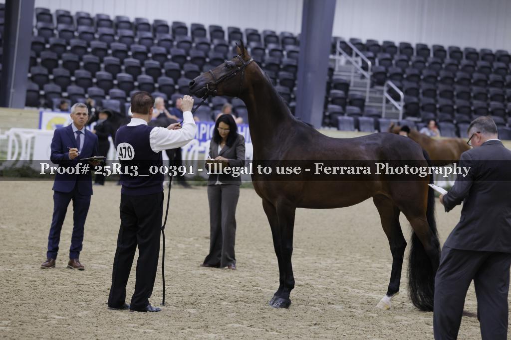 Proof 25R13_00391