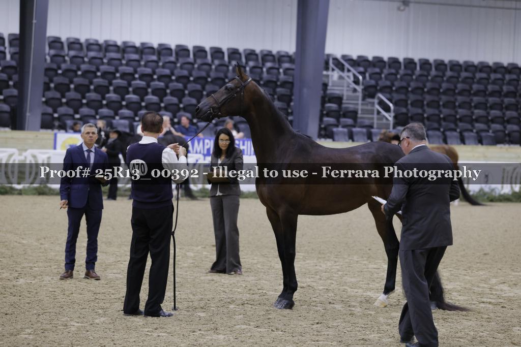 Proof 25R13_00392