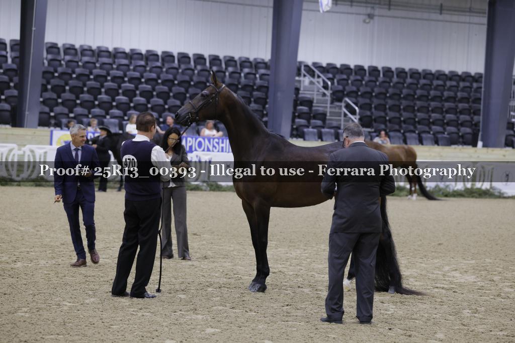 Proof 25R13_00393