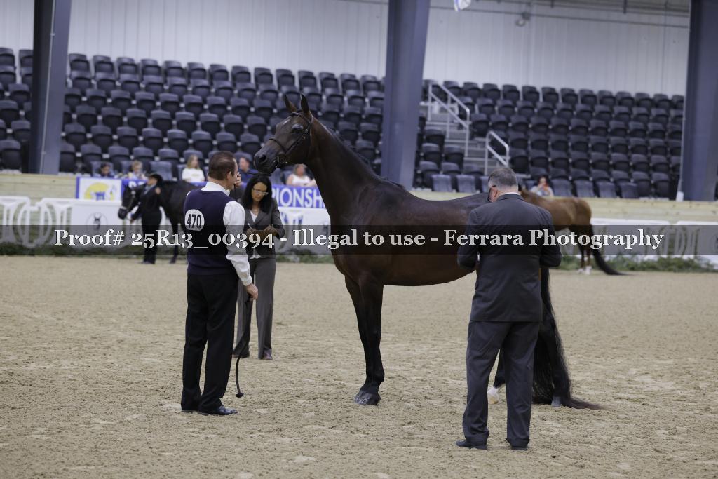 Proof 25R13_00394