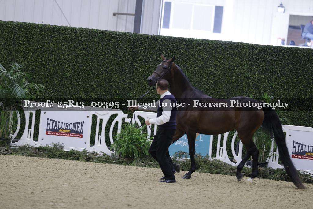 Proof 25R13_00395