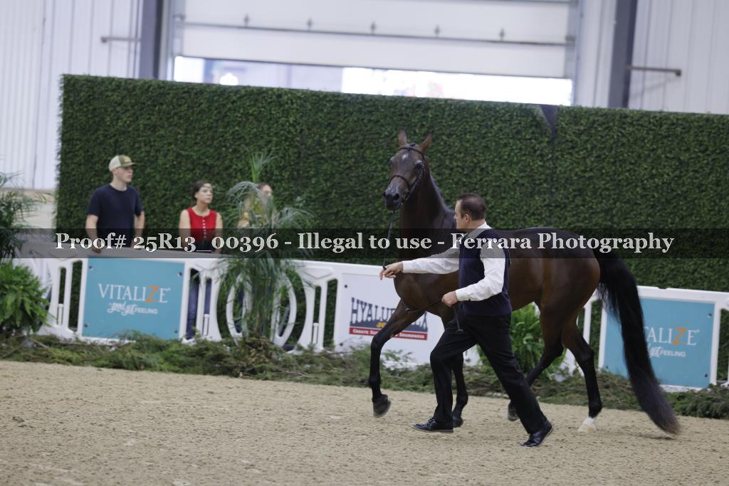 Proof 25R13_00396