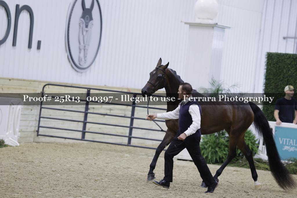 Proof 25R13_00397