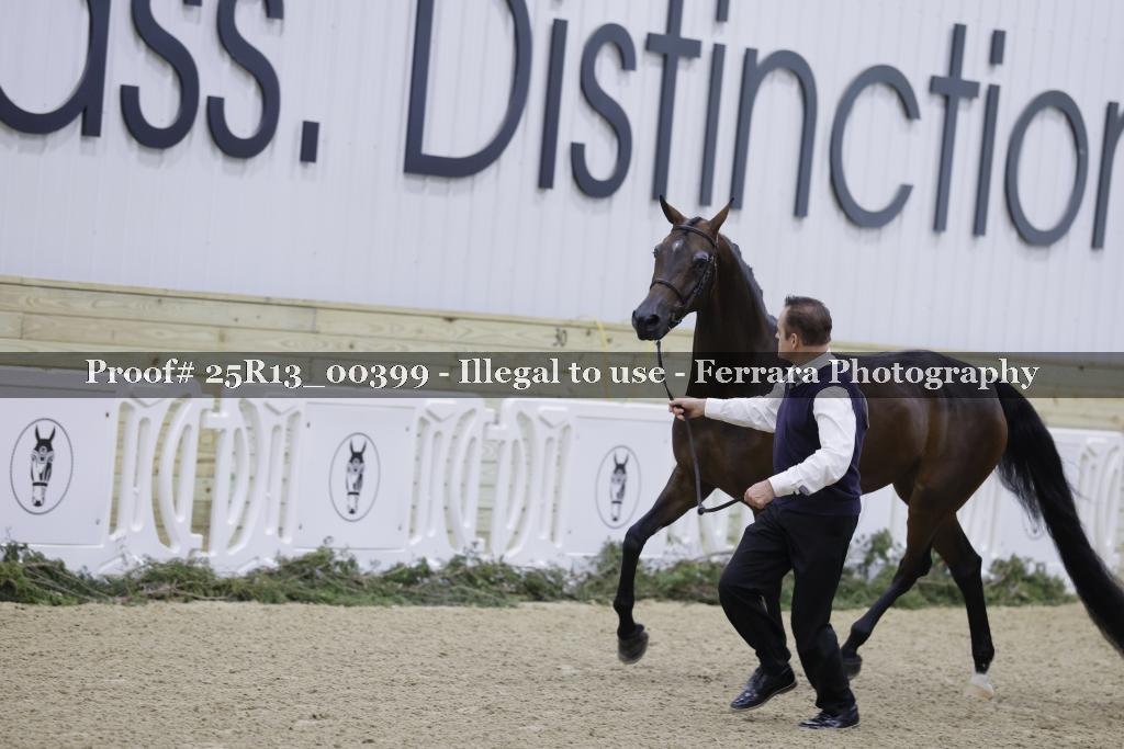 Proof 25R13_00399