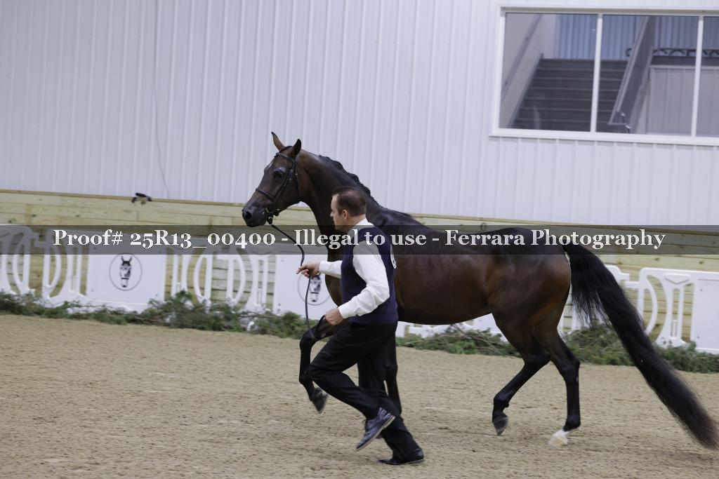 Proof 25R13_00400