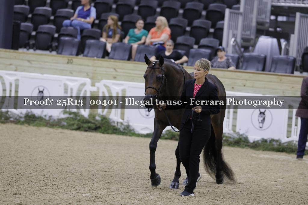 Proof 25R13_00401