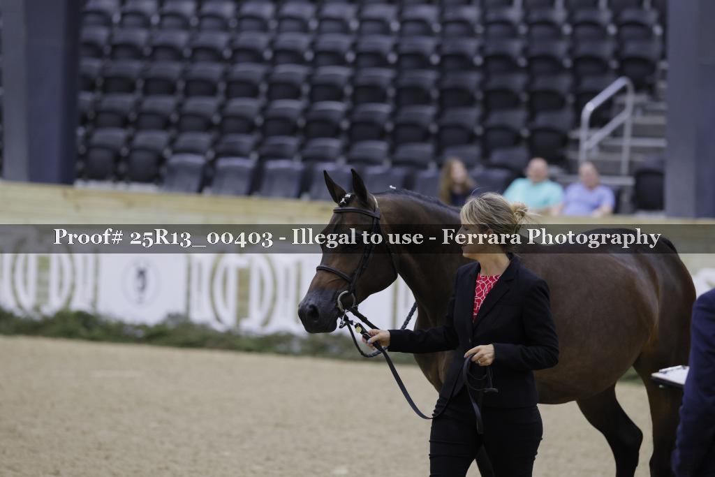 Proof 25R13_00403