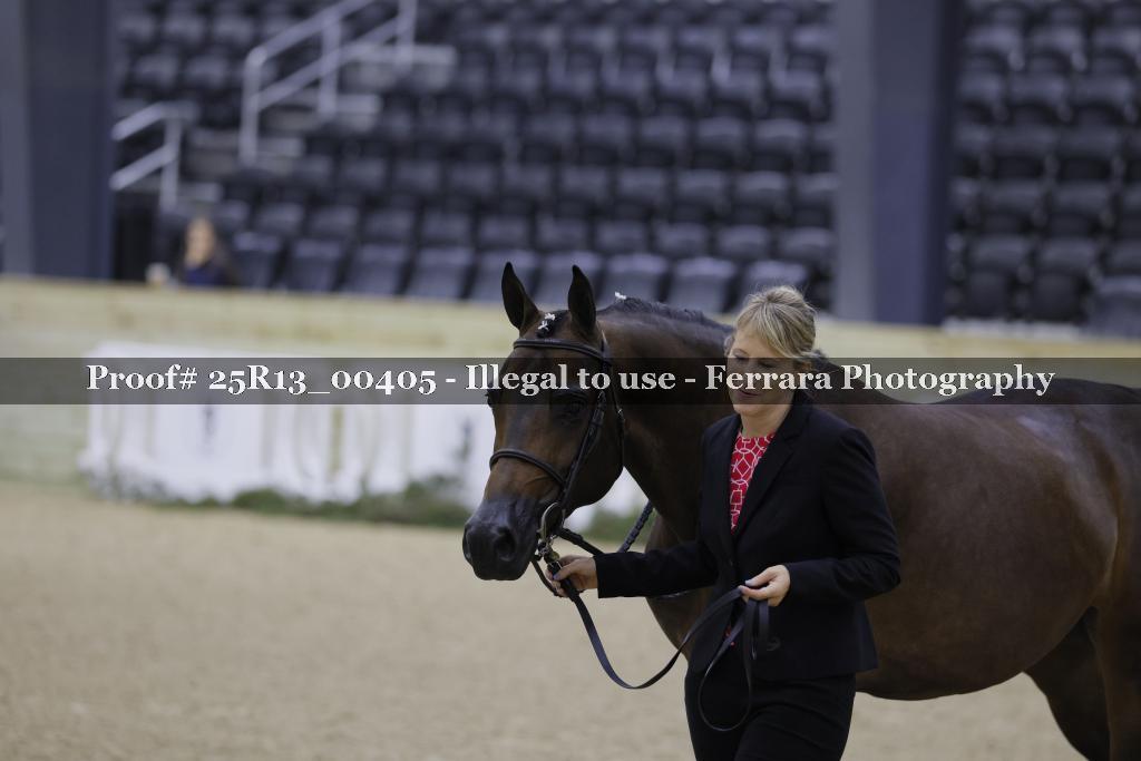 Proof 25R13_00405