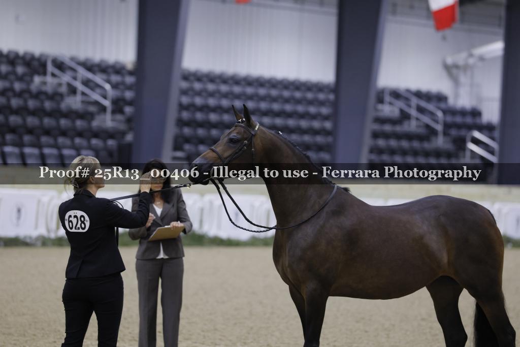 Proof 25R13_00406