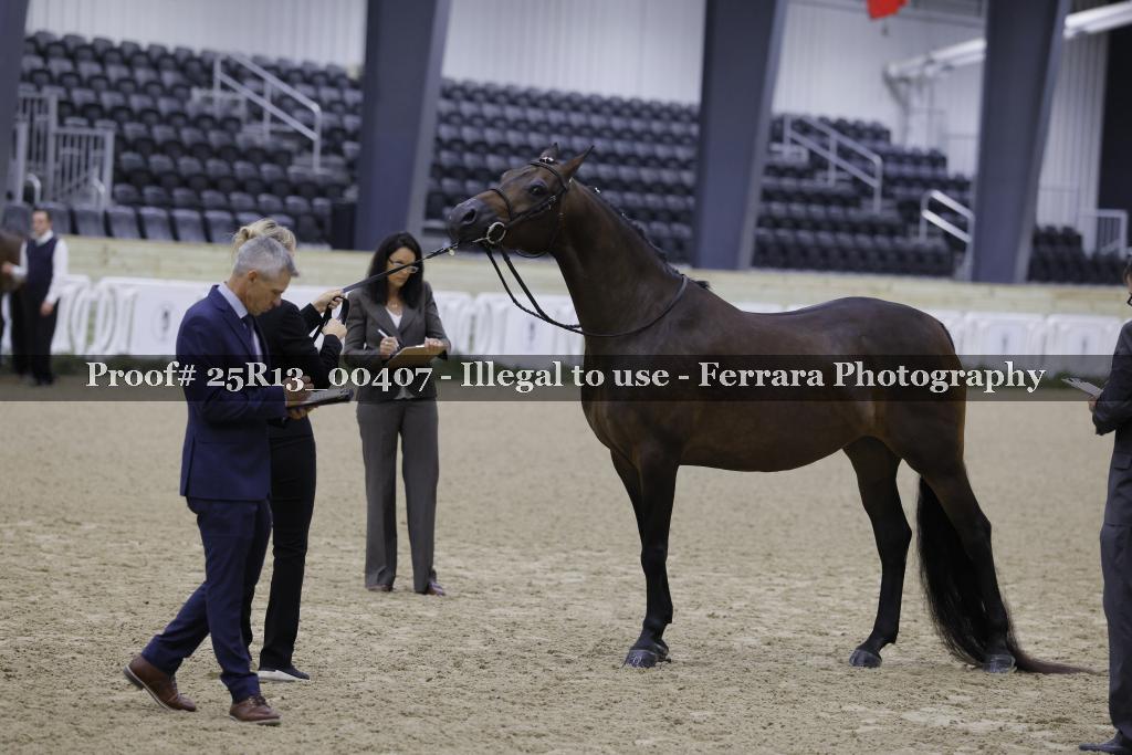 Proof 25R13_00407