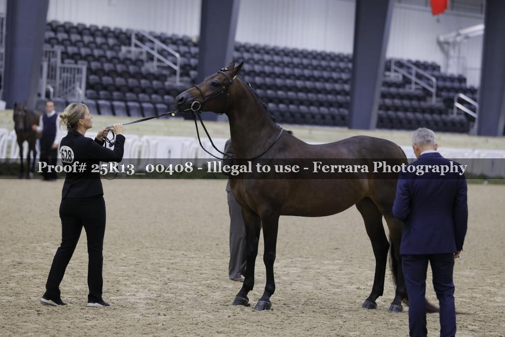 Proof 25R13_00408