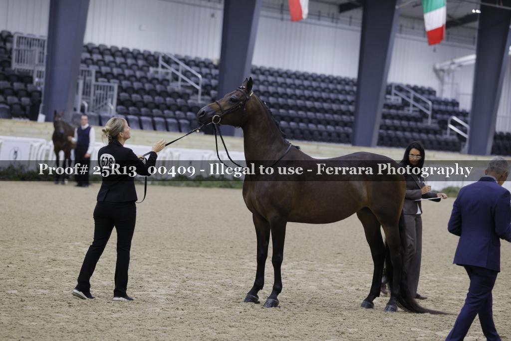 Proof 25R13_00409
