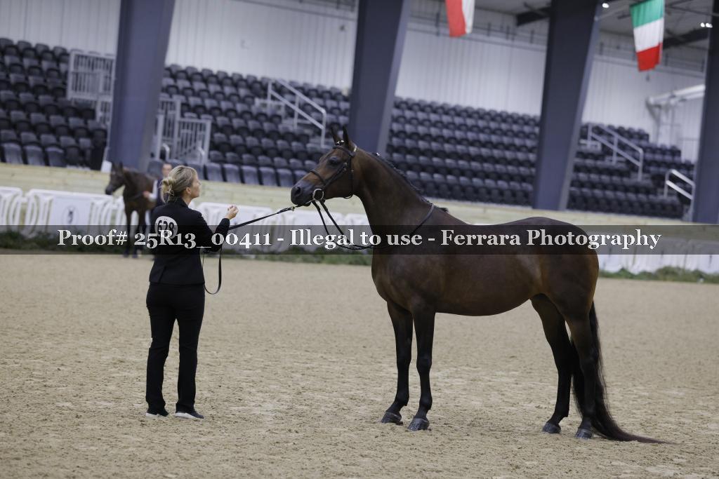 Proof 25R13_00411