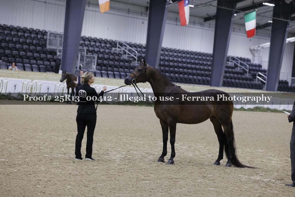 Proof 25R13_00412