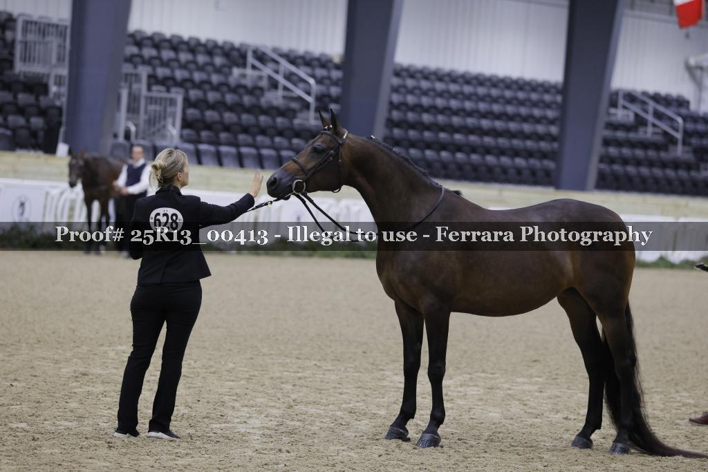Proof 25R13_00413