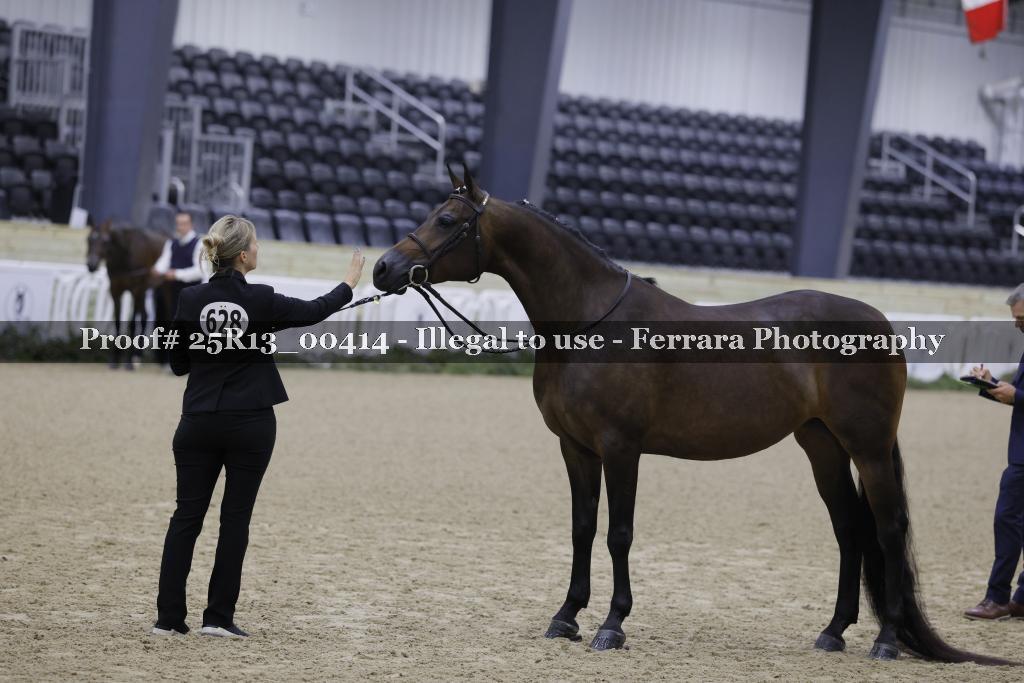 Proof 25R13_00414