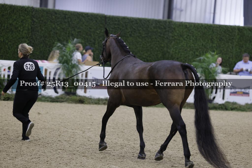 Proof 25R13_00415