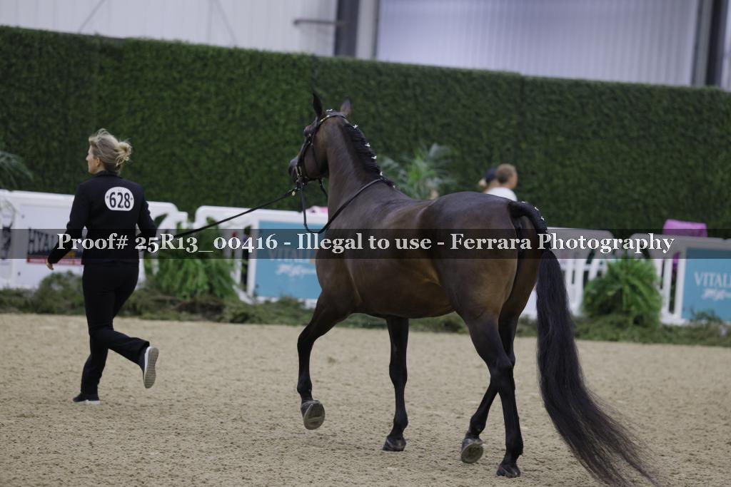 Proof 25R13_00416