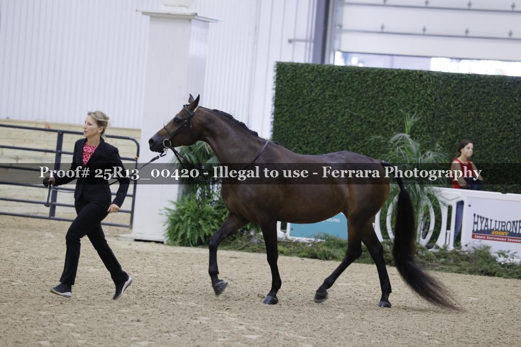 Proof 25R13_00420