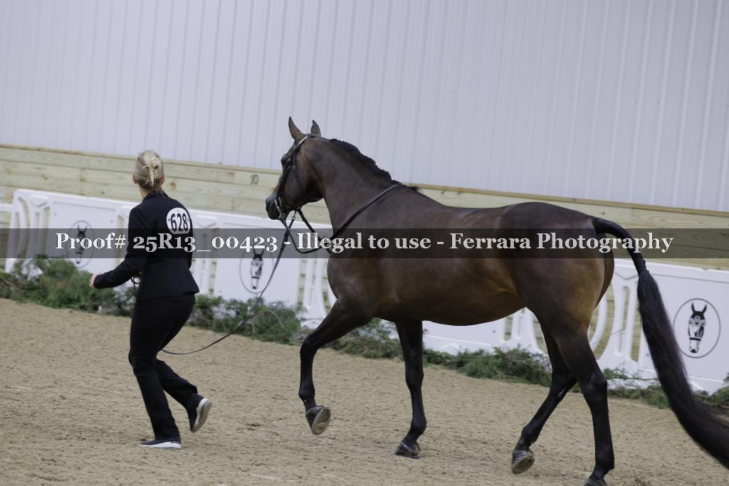 Proof 25R13_00423