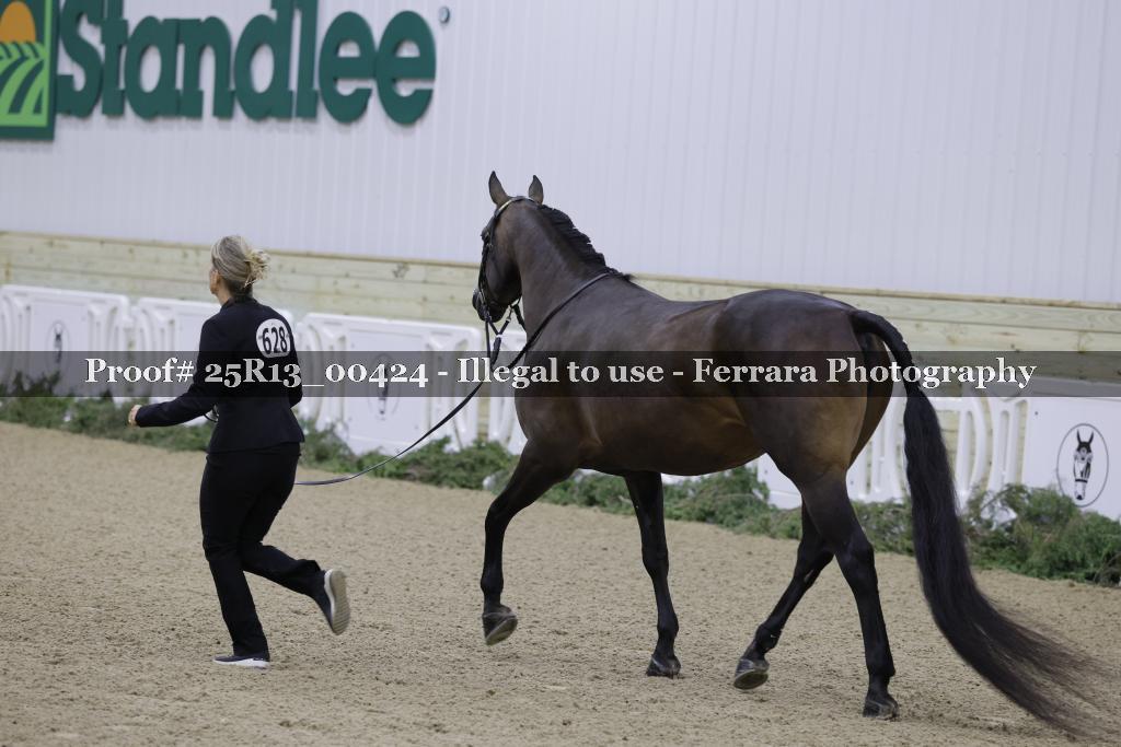 Proof 25R13_00424