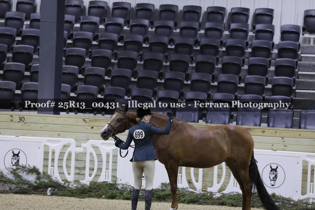 Proof 25R13_00431