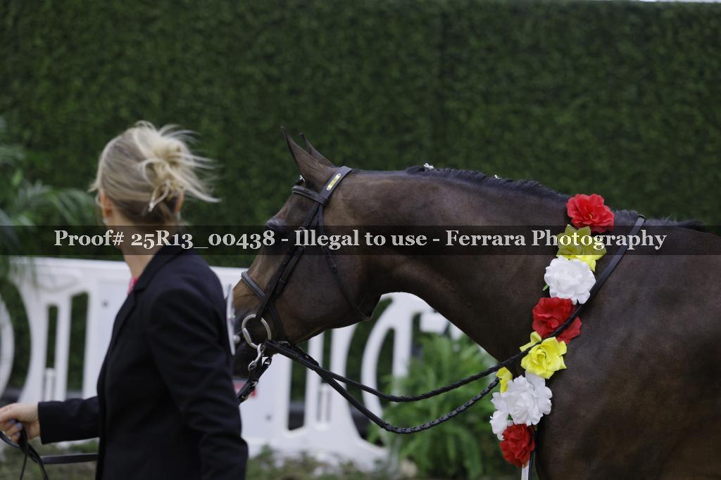 Proof 25R13_00438