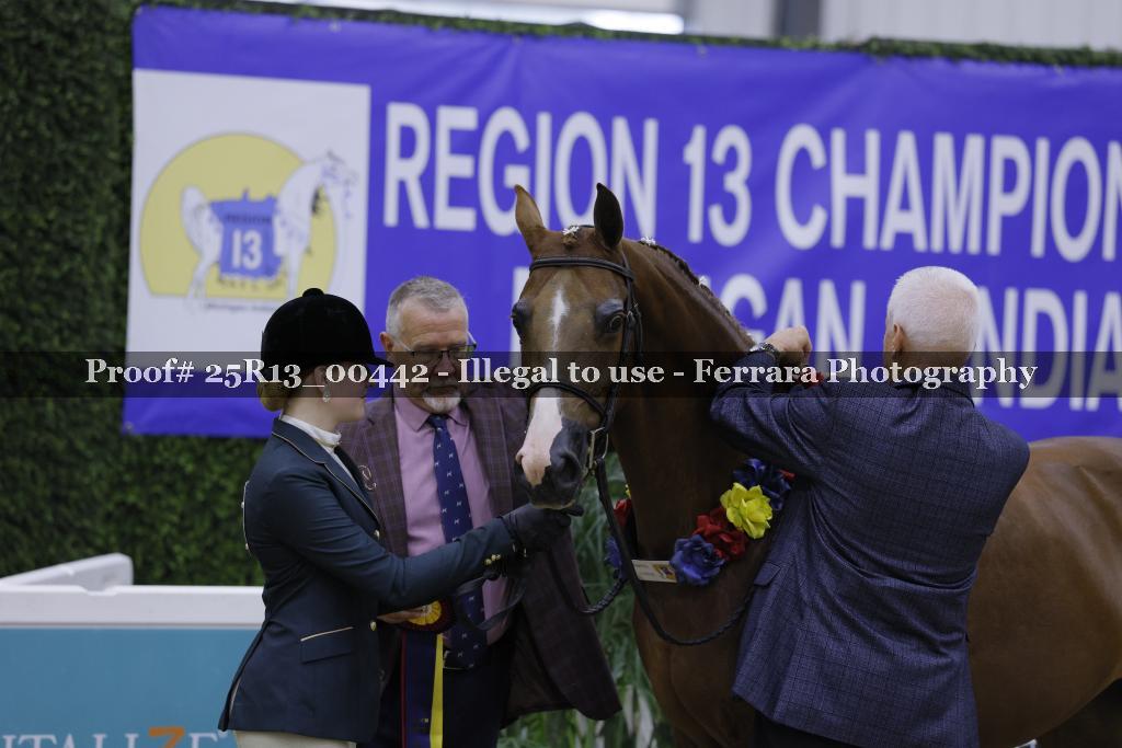 Proof 25R13_00442